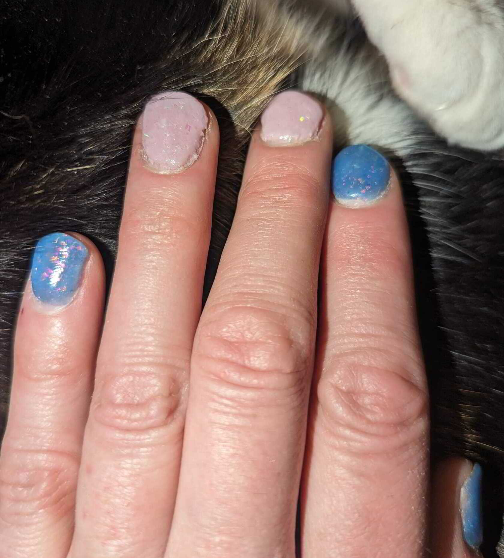 Nail polish manicure of shade Revel Sagittarius, Revel Gemini, 
