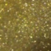 Nail polish swatch of shade Barielle Gold Digger