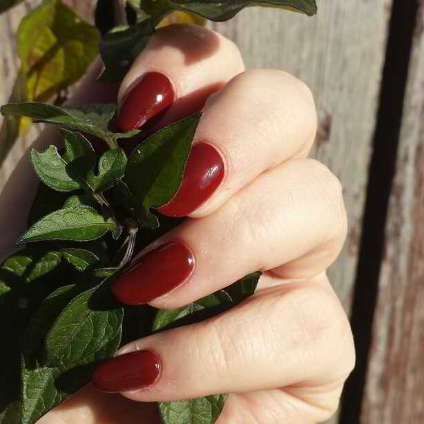 Nail polish manicure of shade Zoya Cola