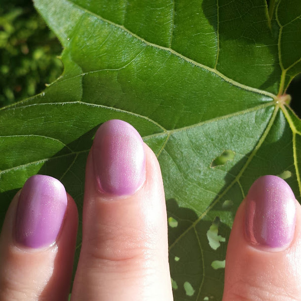 Nail polish swatch / manicure of shade OPI Significant Other Color