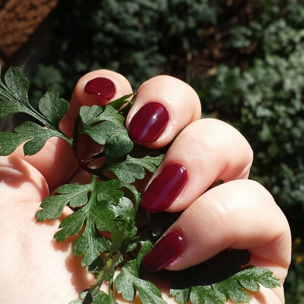 Nail polish swatch / manicure of shade Zoya Stacy