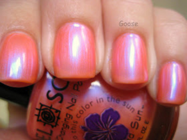 Nail polish swatch / manicure of shade Del Sol Secret Crush