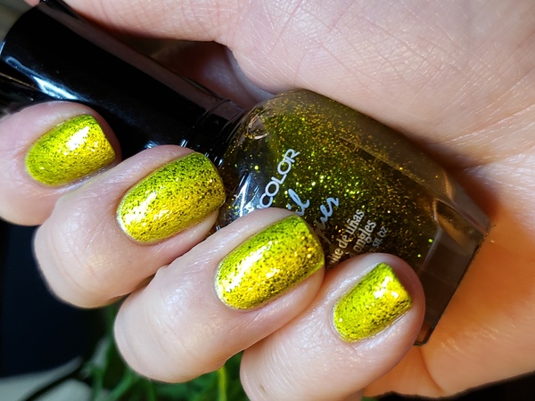 Nail polish swatch / manicure of shade Kleancolor Gold Shimmer