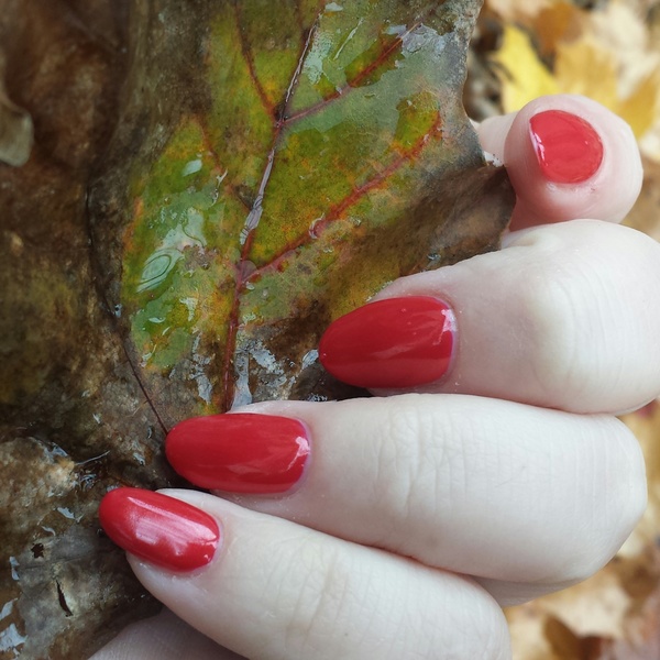 Nail polish swatch / manicure of shade Julep Suzanne