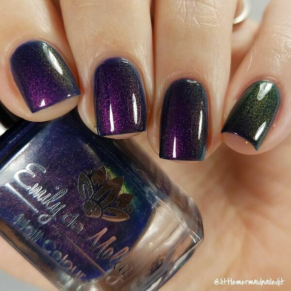 Nail polish swatch / manicure of shade Emily de Molly Midnight Serenade