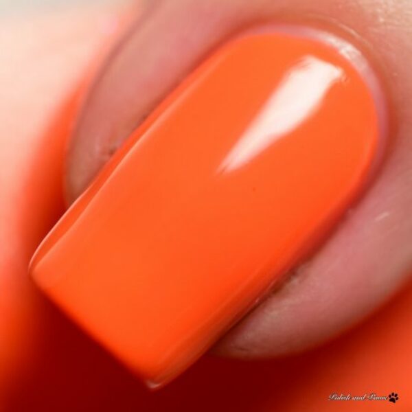 Nail polish swatch / manicure of shade SquareHue Slipjig