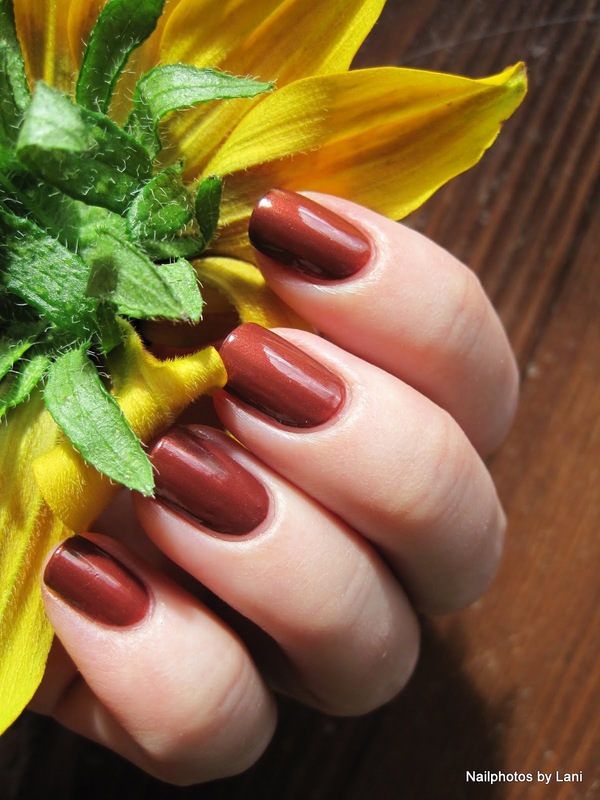 Nail polish swatch / manicure of shade Clarins Acajou Mahogany