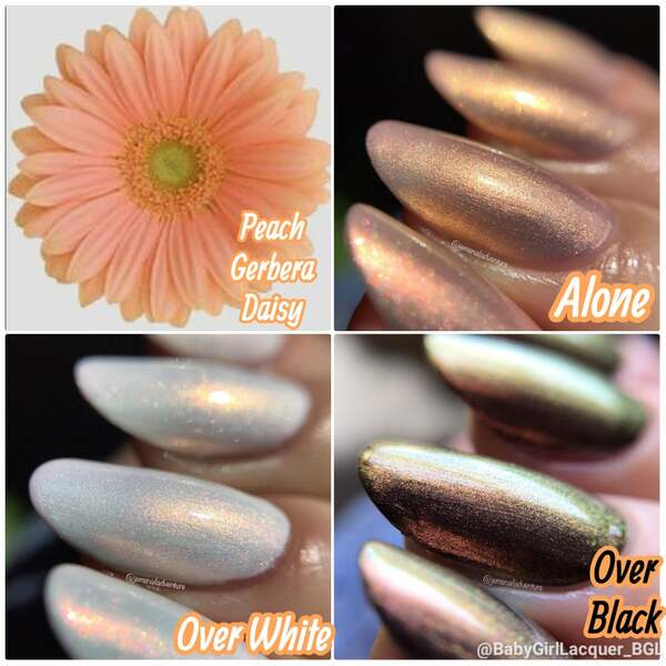 Nail polish swatch / manicure of shade Baby Girl Lacquer Peach Gerbera Daisy