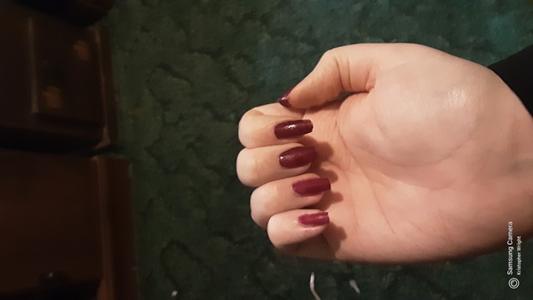 Nail polish swatch / manicure of shade Maybelline Plum Party