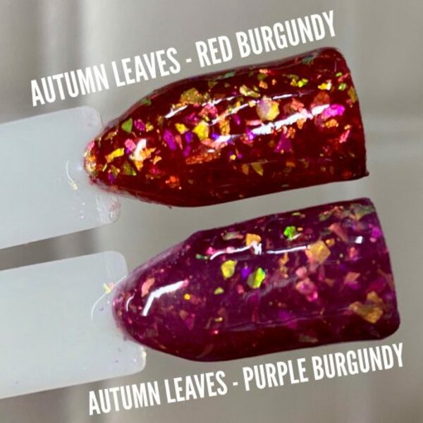 Nail polish swatch / manicure of shade Sparkle and Co. Autumn Leaves - Purple