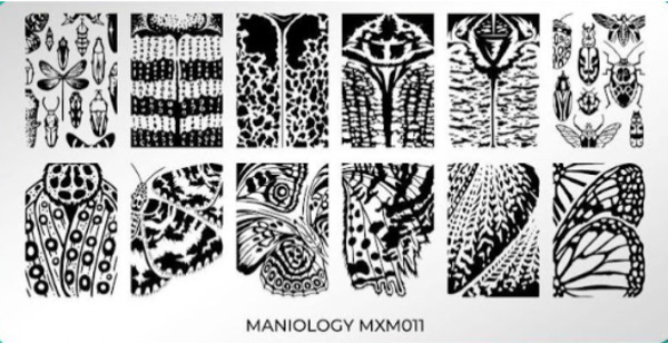 Nail polish swatch / manicure of shade Maniology Beneath the Leaves