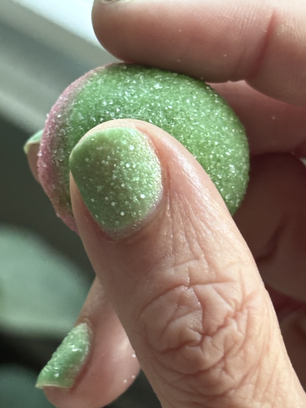 Nail polish swatch / manicure of shade Sinful Colors Sour Melon Crush