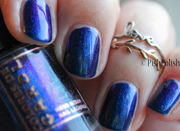Nail polish swatch / manicure of shade Colores de Carol Blueberry Toffee