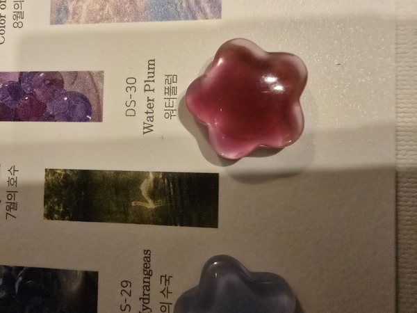 Nail polish swatch / manicure of shade Dvok Water plum