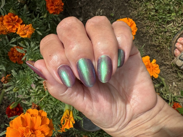 Nail polish swatch / manicure of shade Royla Lee Shadows and Secrets