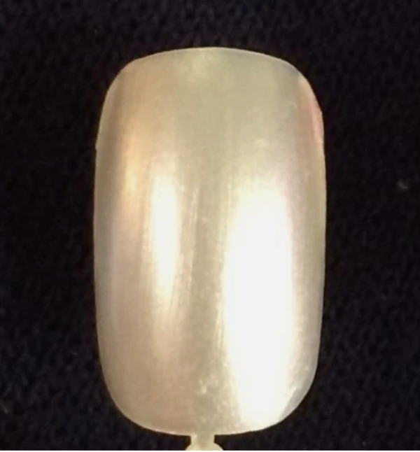 Nail polish swatch / manicure of shade Sally Hansen Champagne Crystal