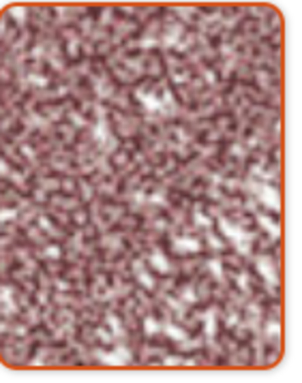 Nail polish swatch / manicure of shade Sally Hansen Precious Stone