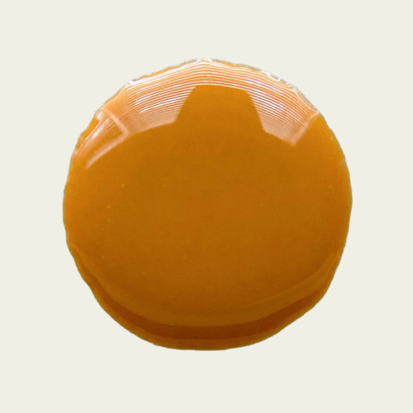 Nail polish swatch / manicure of shade Death Valley Nails YELLOW IRON ORE: Wasatch Mountains, UT