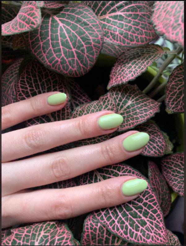 Nail polish swatch / manicure of shade OPI How Does Your Zen Garden Grow