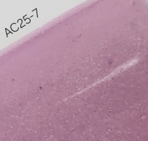 Nail polish swatch / manicure of shade Revel AC 25-7