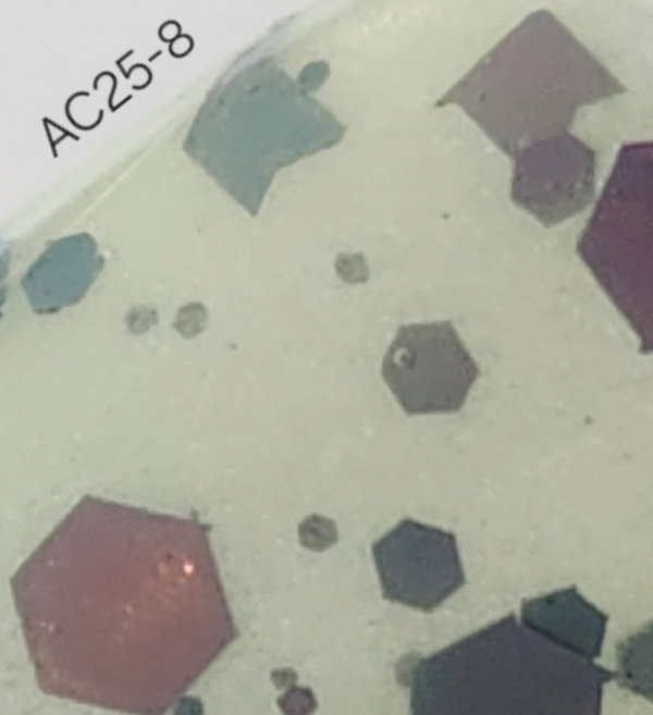 Nail polish swatch / manicure of shade Revel AC 25-8