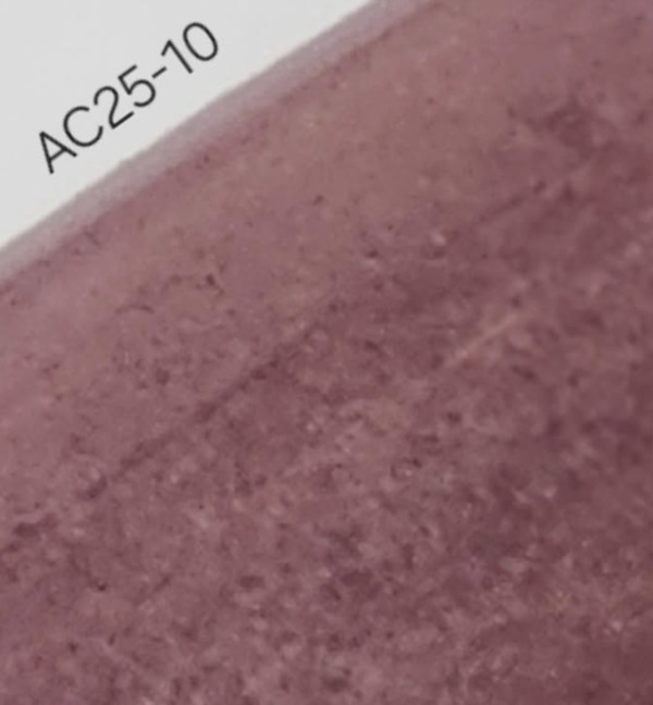 Nail polish swatch / manicure of shade Revel AC 25-10