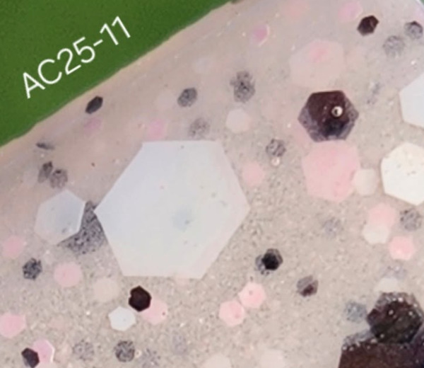 Nail polish swatch / manicure of shade Revel AC 25-11