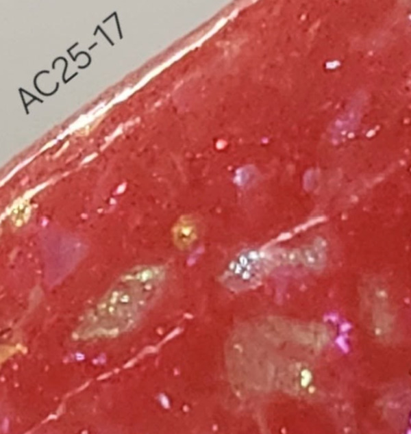 Nail polish swatch / manicure of shade Revel AC 25-17