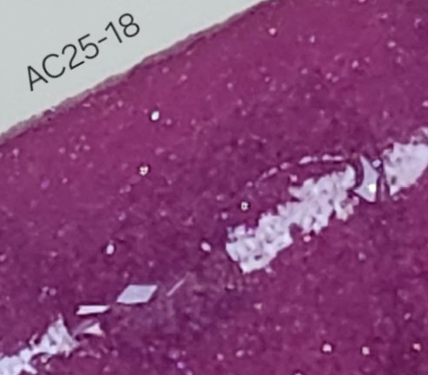 Nail polish swatch / manicure of shade Revel AC 25-18