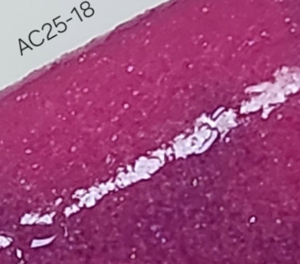 Nail polish swatch / manicure of shade Revel AC 25-18