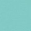 Nail polish swatch of shade L.A. Colors Seafoam