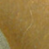 Nail polish swatch of shade Orly Citrine Cheer (Nov)