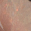 Nail polish swatch of shade Nubar 2010