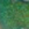 Nail polish swatch of shade NYX Girls Emerald Forest