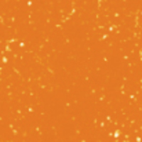 Nail polish swatch of shade Perfect Match Orange Blossom