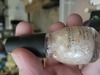 Nail polish swatch of shade Sinful Colors Love Sprinkles