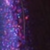Nail polish swatch of shade Revlon Wild Violets