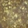 Nail polish swatch of shade Emily de Molly Chasing Gold