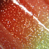 Nail polish swatch of shade KBShimmer Apple-y Ever After