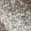 Nail polish swatch of shade piCture pOlish Heavy Metal