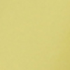 Nail polish swatch of shade piCture pOlish Sorbet