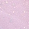 Nail polish swatch of shade piCture pOlish Blossom