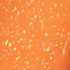 Nail polish swatch of shade piCture pOlish Eternal