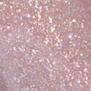 Nail polish swatch of shade piCture pOlish Grace