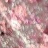Nail polish swatch of shade Great Lakes Dips Pink Moscato