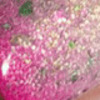 Nail polish swatch of shade Wikkid Polish Dragon Fruit