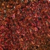 Nail polish swatch of shade Revel Tapestry