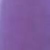 Nail polish swatch of shade Salon Perfect Prim and Purple