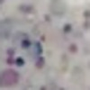 Nail polish swatch of shade Palate Polish Jawbreaker
