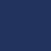 Nail polish swatch of shade Looky Navy